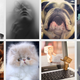 Illustration for article titled Here's How to Banish All the Babies From Your Facebook Newsfeed
